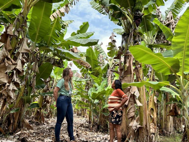 Produtora de Sobradinho transforma a vida com apoio da extensão rural Produtora de Sobradinho transforma a vida com apoio da extensão rural